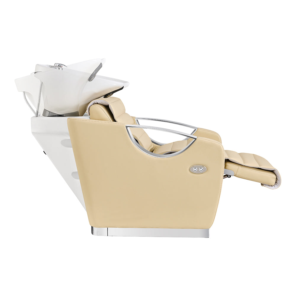 Victoria Electric Shampoo Backwash Unit