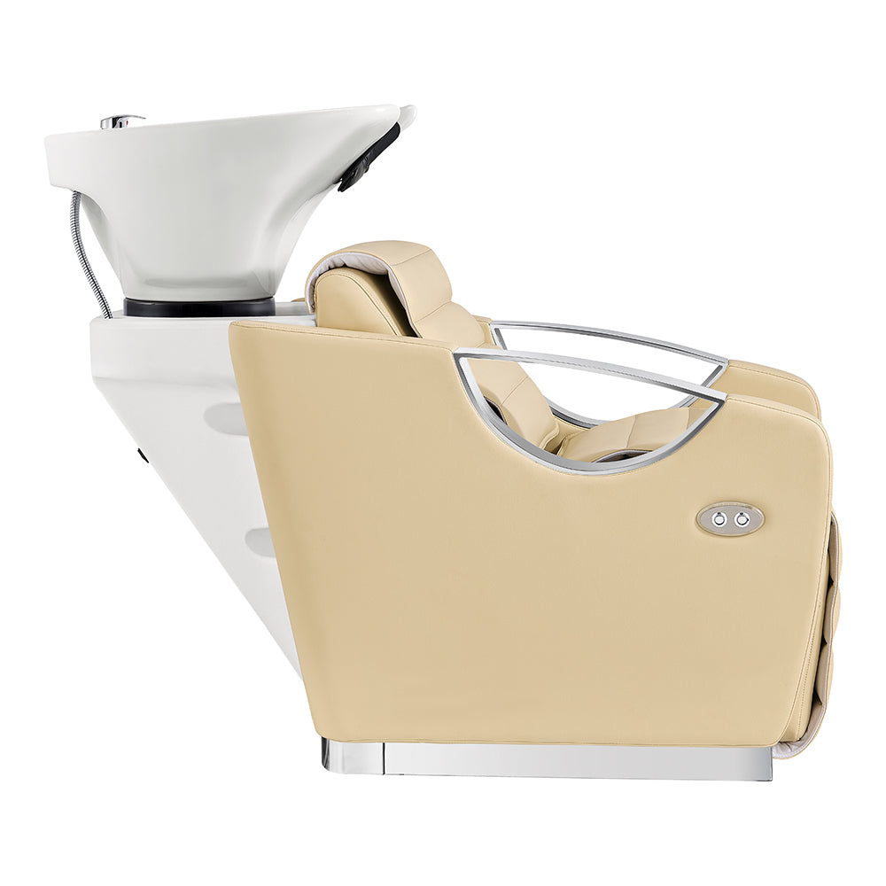 Victoria Electric Shampoo Backwash Unit