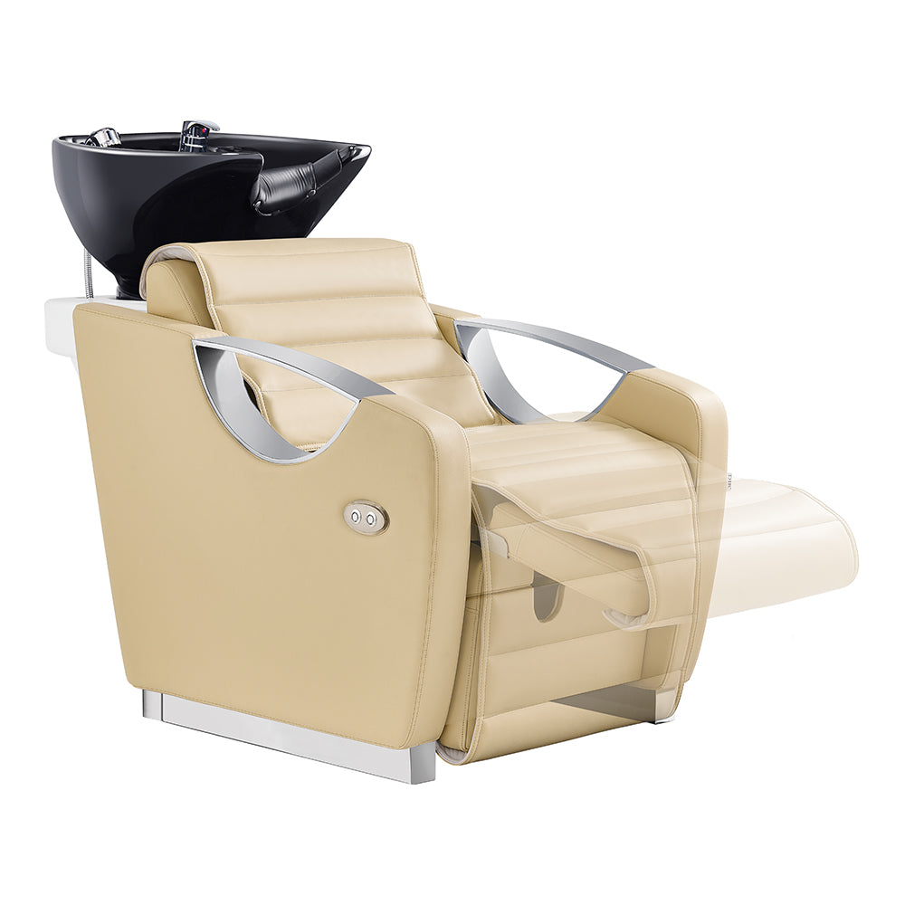 Victoria Electric Shampoo Backwash Unit